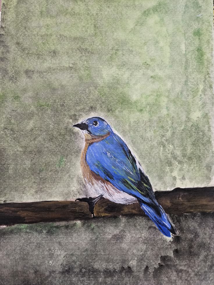 Bluebird, Acrylic on Paper