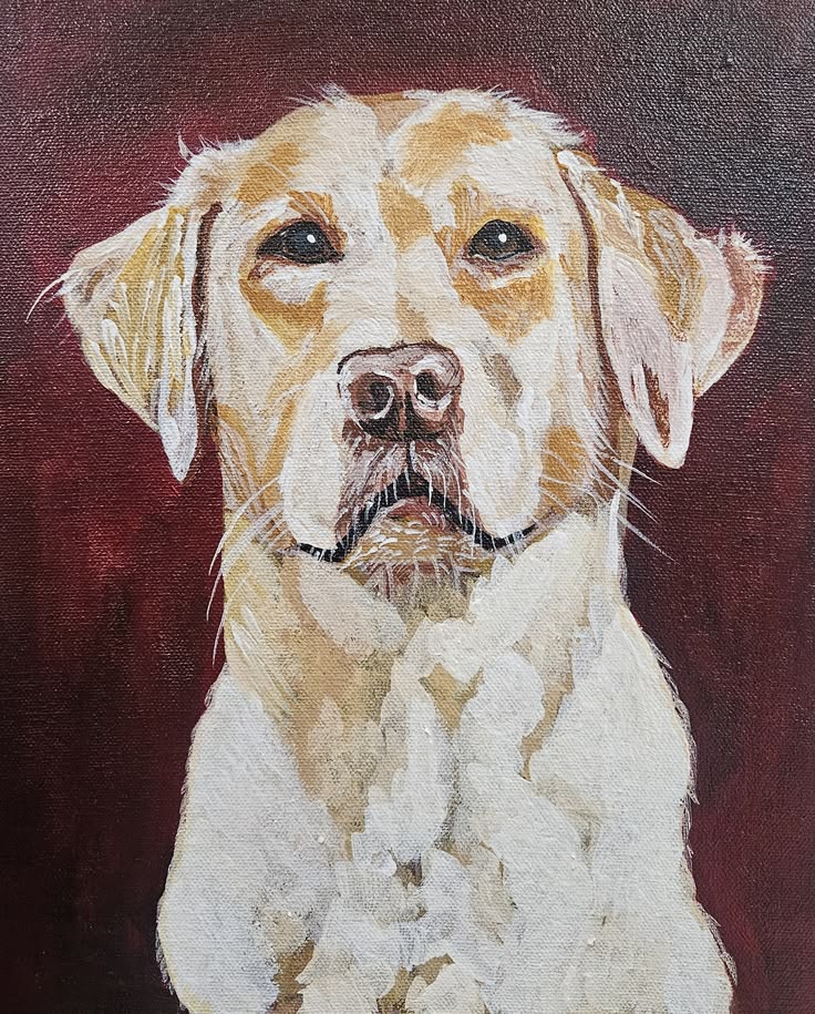 Golden Dog, Acrylic on Canvas Board