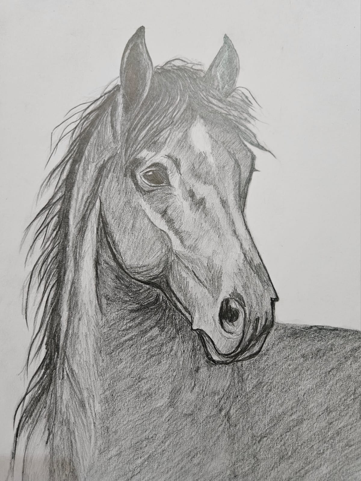 Silent Grace, Pencil on Paper